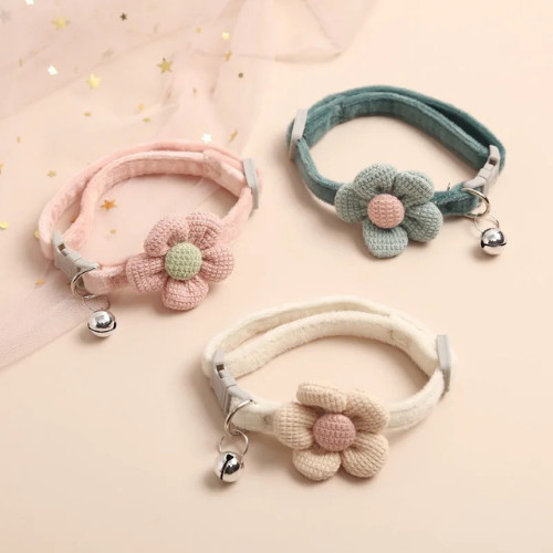 Cute flower cat - cute, collar