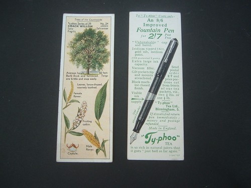 Typhoo tea trees - tea, of