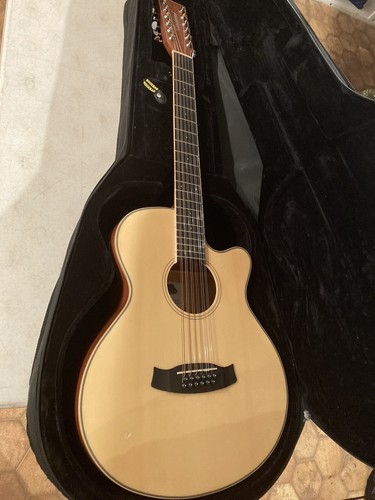 Acoustic electric guitar - acoustic, 12