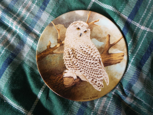 Coalport snowy owl - coalport, (stack