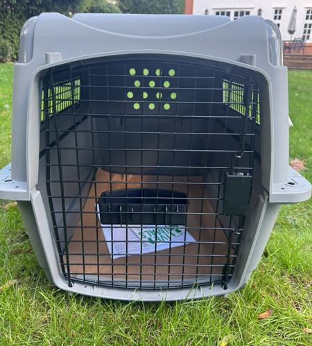 Sky kennel grey - sky, kennel,