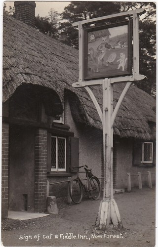 Sign cat fiddle inn - fiddle, &