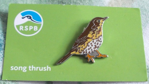 Song thrush rspb - -, is