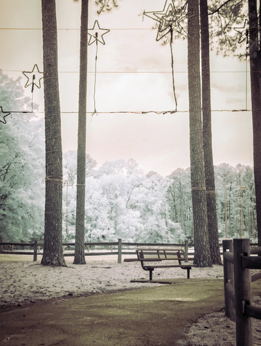 Infrared converted nikon d70s - converted,