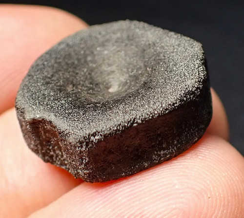 Jurassic ichthyosaur bone