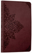 Holy Bible: English Standard