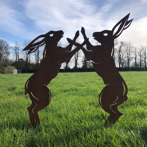 Large rusty metal boxing - large,