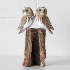 Barn Owls on Driftwood Wood