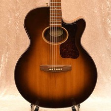 GUILD F5CE-AB (1990s)