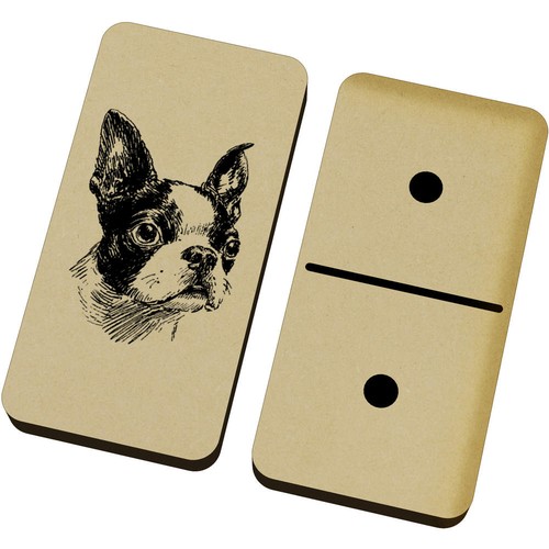 Boston terrier portrait - terrier, portrait'