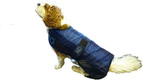 Animate dog cooling - cooling, coat