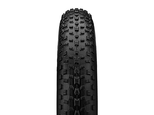 Fat tire bike mountain - fat,