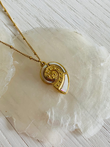 Gold plated white - , conch