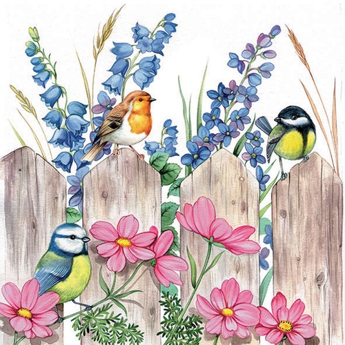 Garden birds paper - garden,