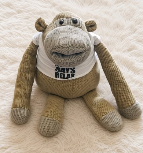 Posh paws most famous monkey - most,