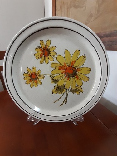 Brendan erin stone - brendan,,