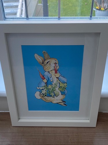 Peter rabbit with - rabbit,