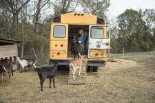 Rougemont north carolina - rougemont,