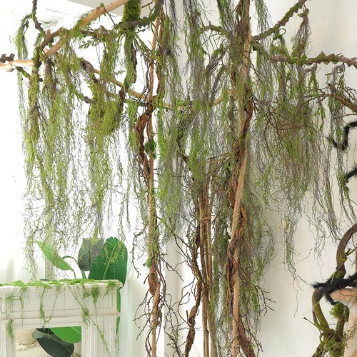 63inch curly faux - 63inch, weeping