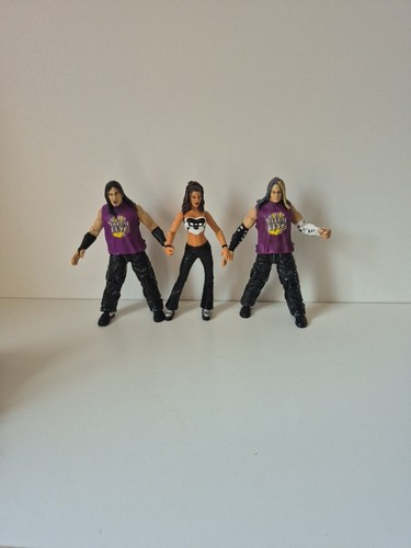 Vintage wwe jakks pacific team - pacific,