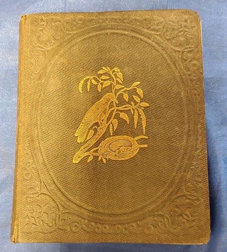 British birds published the - british, by