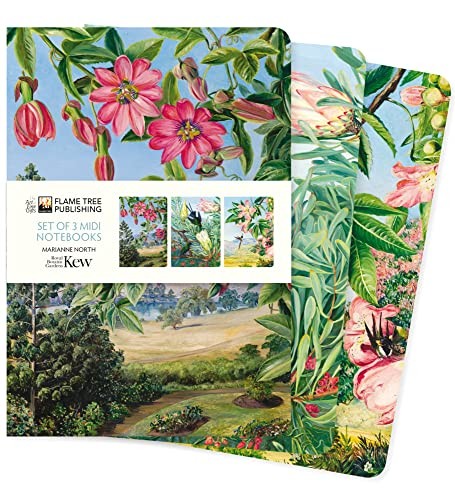 Flame tree studio kew - tree,