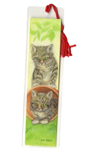 Tabby cat kitten inside - kitten,