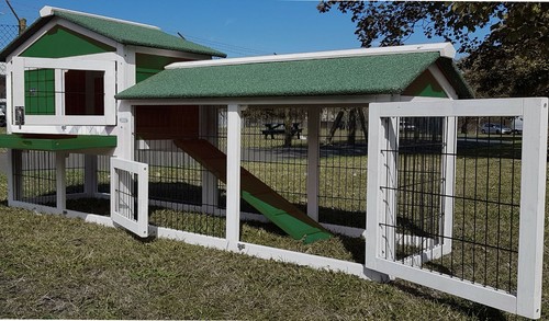 Green rabbit hutch guinea pig - guinea,