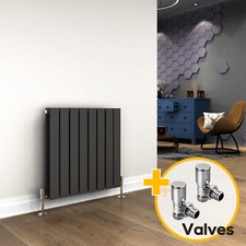 Anthracite Radiator Double 600
