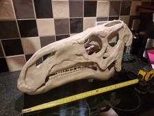 Iguanodon Replica Skull Large