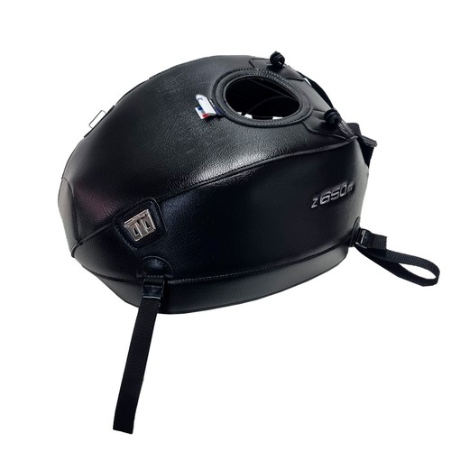 Kawasaki 650 2026 bagster - 650, rs
