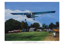 Branscombe Summer Light