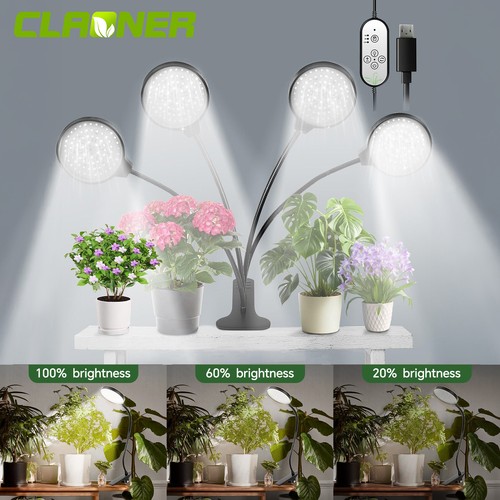 Indoor led plant - plant, grow