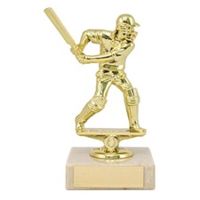 Cricket Trophies Batsman