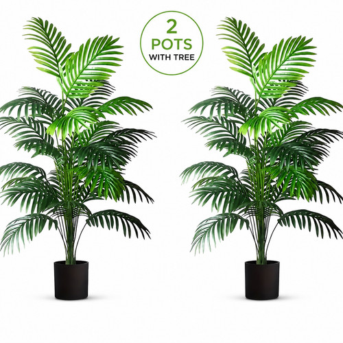 Leaves areca palm - 24,