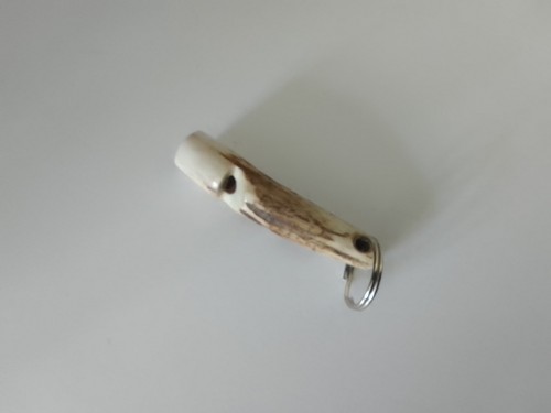 Scottish highland stag horn - stag,