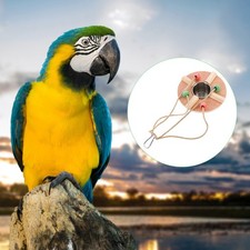 Parrot Perch Swing Birds Cup