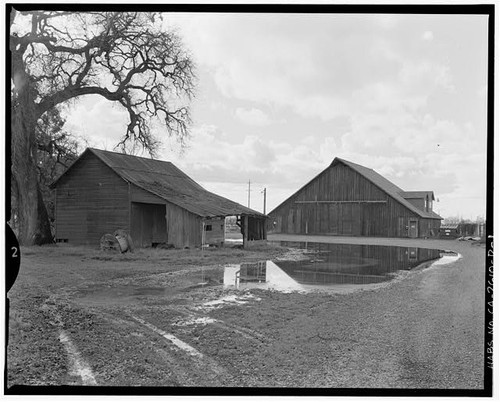 Elk grove california - elk,