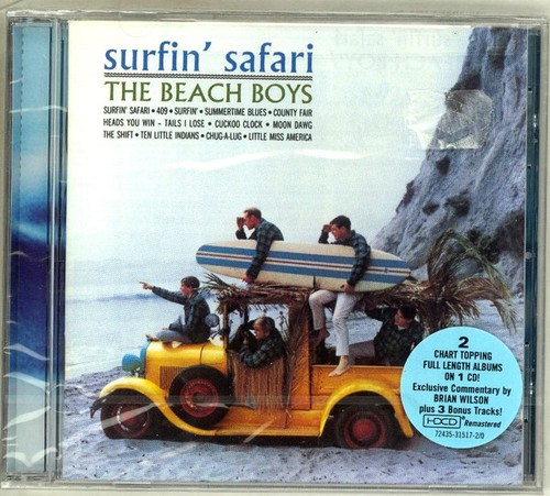 The beach boys surfin - the, surfin'