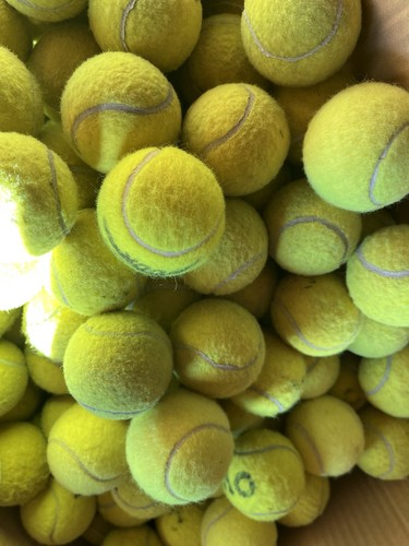 Used tennis balls - balls, good
