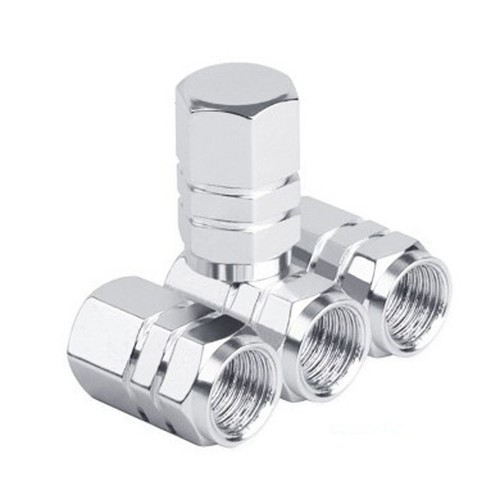 Silver car tire valve - silver, tyre