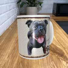 Staffordshire Bull Terrier