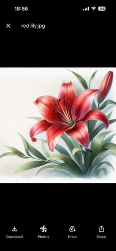 Red lily cross stitch - stitch, pattern