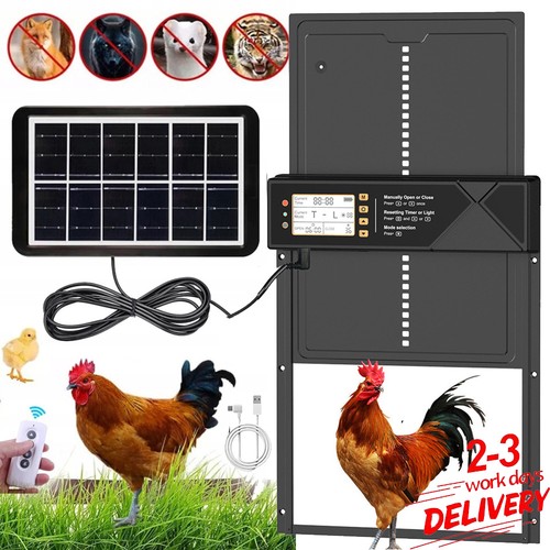 Automatic chicken coop door - chicken,