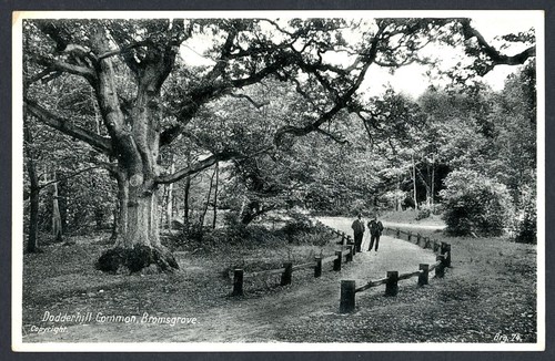Dodderhill common near - dodderhill, common.