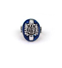 Family crest initial aqua - family,