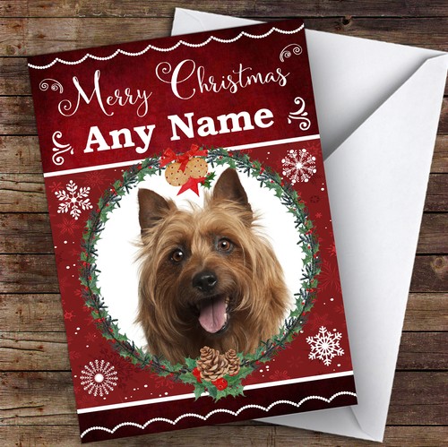 Australian terrier dog - australian,