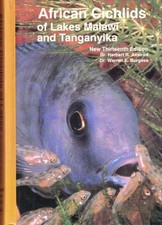 African Cichlids of Lakes