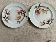 Spode fine stone oven to table
