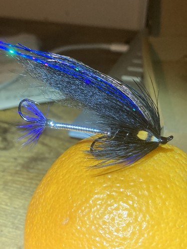 Sea trout salmon fly fishing - trout,